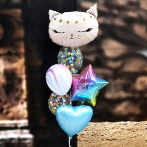 Шары композиция с кошечкой